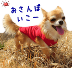 Sticker of Cereza14 sticker #15906209