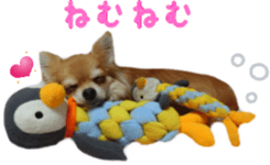 Sticker of Cereza14 sticker #15906213