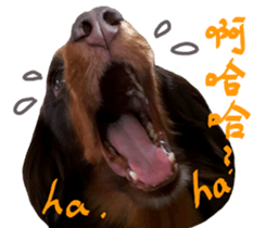 Big nose dog Toby. sticker #15907132