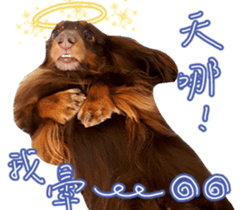 Big nose dog Toby. sticker #15907145