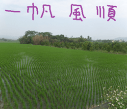 Such as orange sticker #15908495