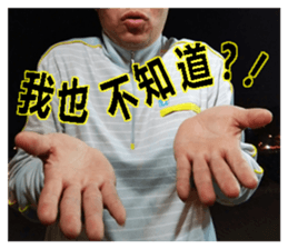 Dongdong quite you sticker #15908506