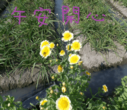 Cheonggyecheon sticker #15908763