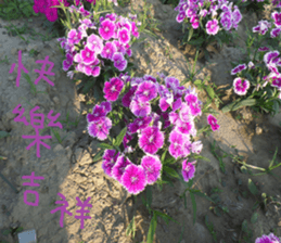 Cheonggyecheon sticker #15908766