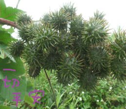 Cheonggyecheon sticker #15908769