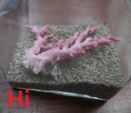 Mei Wang sticker #15908909