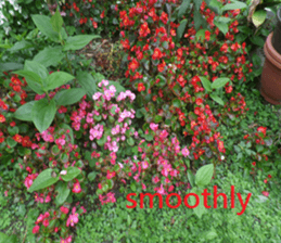 Mei Wang sticker #15908911