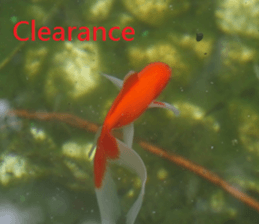 Mei Wang sticker #15908912