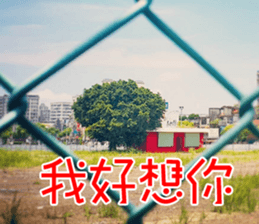 Lover Word sticker #15909122