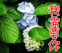 Lover Word sticker #15909123