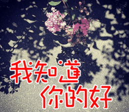 Lover Word sticker #15909126