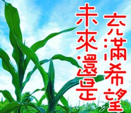 Lover Word sticker #15909130