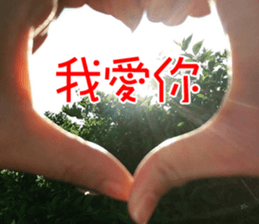 Lover Word sticker #15909140