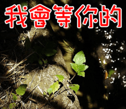 Lover Word sticker #15909146