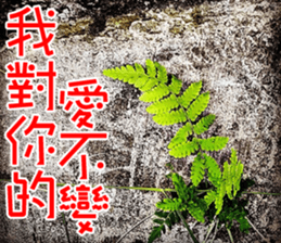 Lover Word sticker #15909147