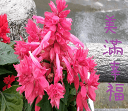 Ying Ju sticker #15909589