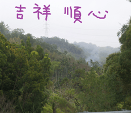 Ying Ju sticker #15909592