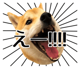Shibainu-KOTETSU stamp vol.2 sticker #15910346