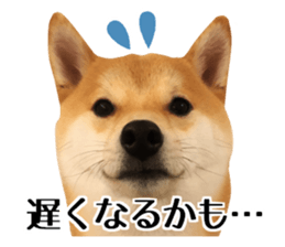 Shibainu-KOTETSU stamp vol.2 sticker #15910351
