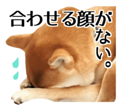 Shibainu-KOTETSU stamp vol.2 sticker #15910353