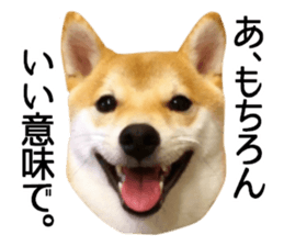 Shibainu-KOTETSU stamp vol.2 sticker #15910356