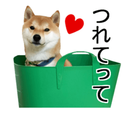 Shibainu-KOTETSU stamp vol.2 sticker #15910357