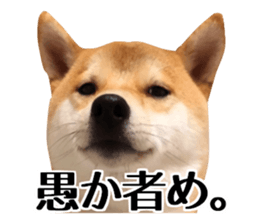 Shibainu-KOTETSU stamp vol.2 sticker #15910359