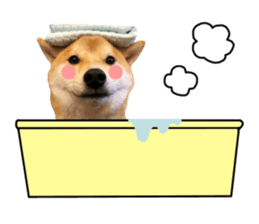 Shibainu-KOTETSU stamp vol.2 sticker #15910360