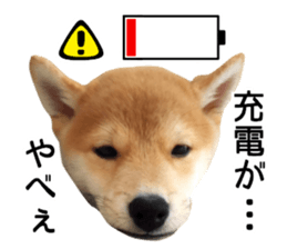 Shibainu-KOTETSU stamp vol.2 sticker #15910361