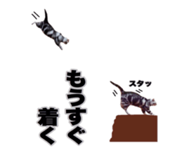 Vivi's talking a picture cat sticker sticker #15910709