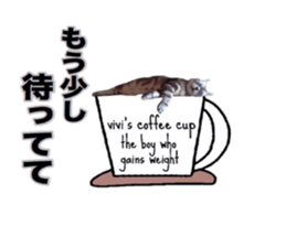 Vivi's talking a picture cat sticker sticker #15910710