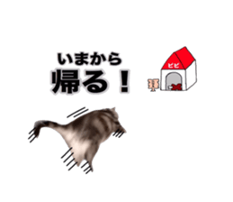 Vivi's talking a picture cat sticker sticker #15910714