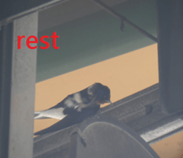 South Village sticker #15910890