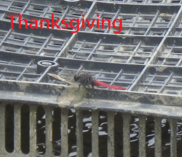 South Village sticker #15910892