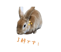 Rabbit cookie sticker #15911885