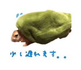 Rabbit cookie sticker #15911891