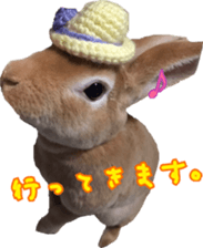 Rabbit cookie sticker #15911895