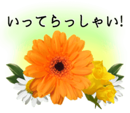 A floral message! Gerbera sticker #15912003