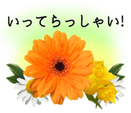 A floral message! Gerbera sticker #15912003