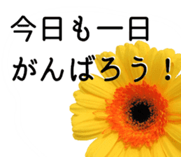 A floral message! Gerbera sticker #15912005