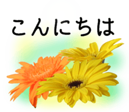 A floral message! Gerbera sticker #15912006