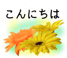 A floral message! Gerbera sticker #15912006