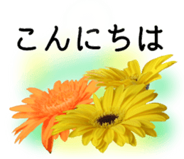 A floral message! Gerbera sticker #15912006