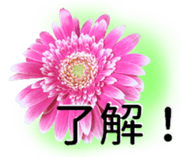 A floral message! Gerbera sticker #15912011