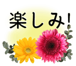 A floral message! Gerbera sticker #15912016