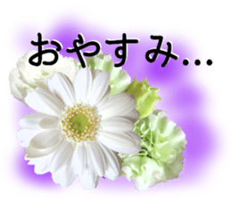 A floral message! Gerbera sticker #15912025