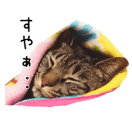 Bell and Rai sticker #15912078