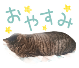 Bell and Rai sticker #15912079