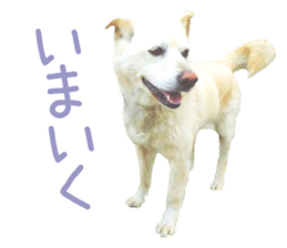 Bell and Rai sticker #15912084