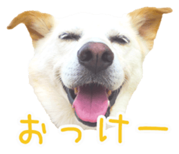 Bell and Rai sticker #15912087